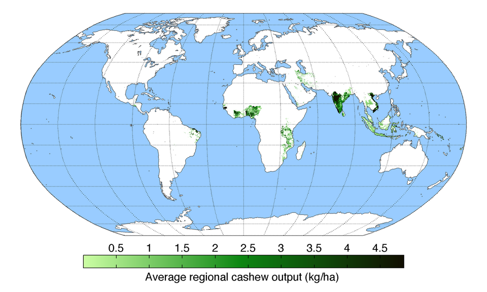 Fayl:CashewYield.png