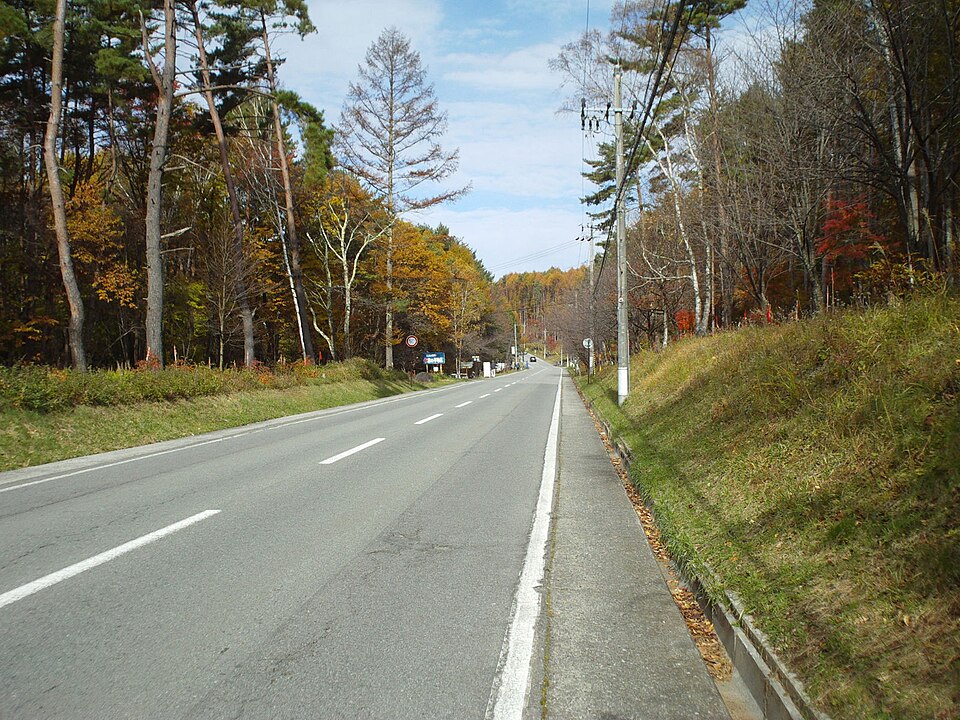 Fayl:Nagano Prefectural Road 484.jpg