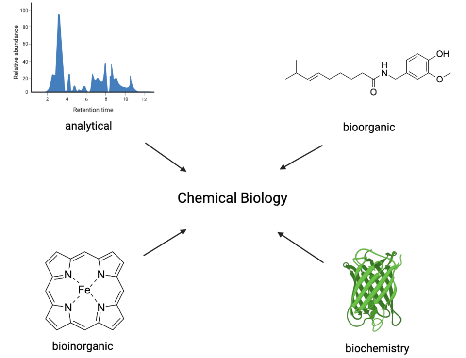 Fayl:Chemical biology flowchart.png