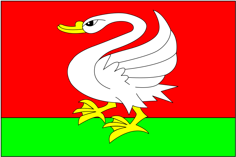 Fayl:Flag of Černošín.svg