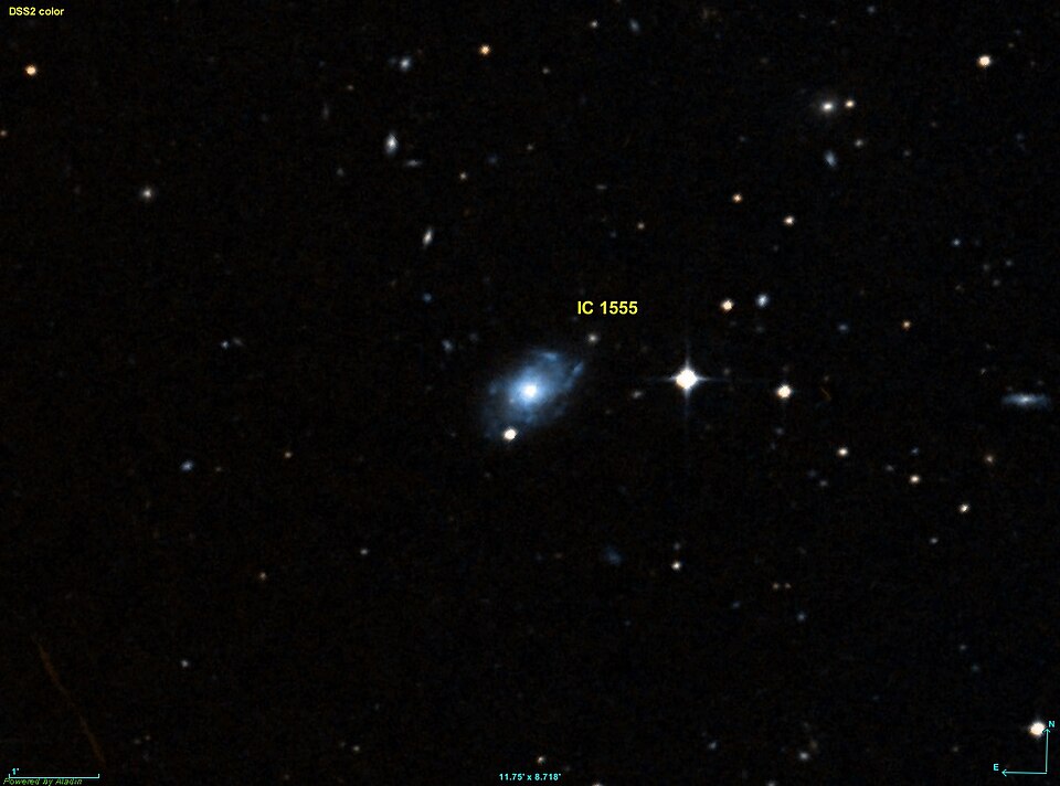 Fayl:IC 1555 DSS.jpg