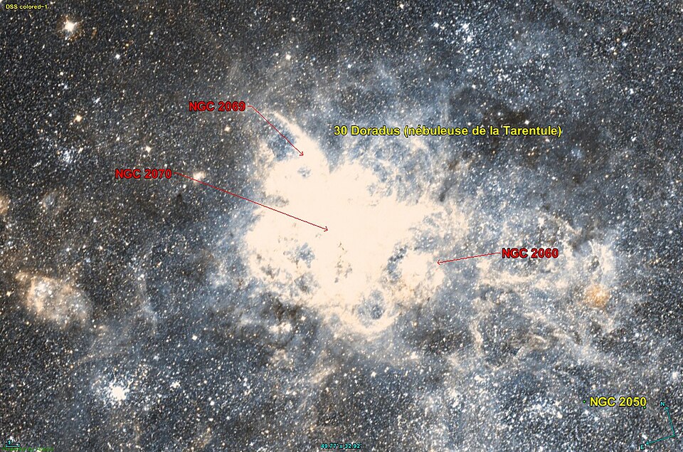 Fayl:NGC 2069 DSS.jpg