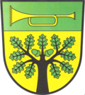 Coat of arms of Trubská