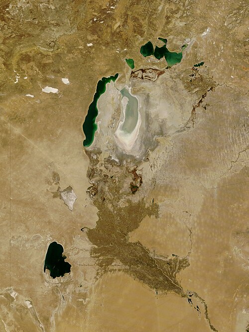 Fayl:AralSea A20081005.jpg
