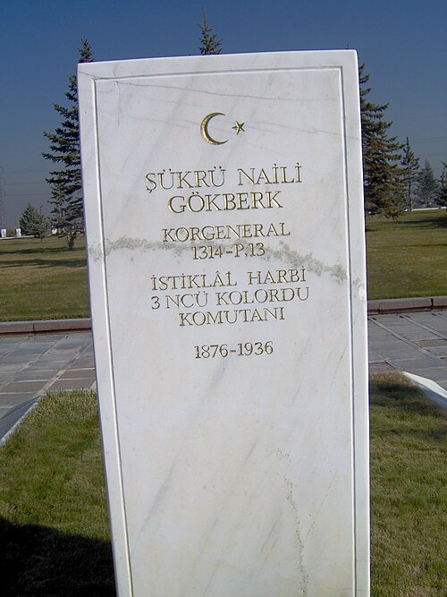 Fayl:SukruNaili.jpg