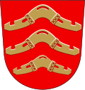 Kodisjoki