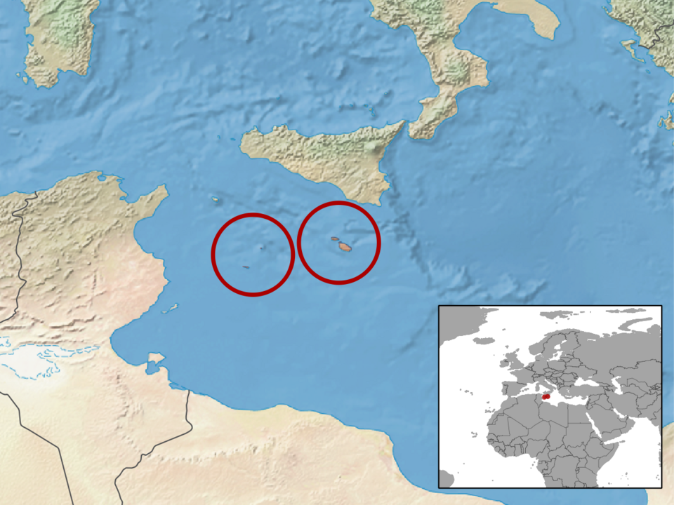 Fayl:Podarcis filfolensis distribution.png