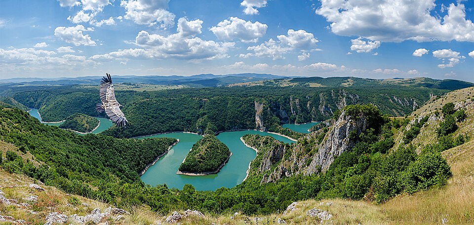Fayl:Uvac River and Eagle.jpg