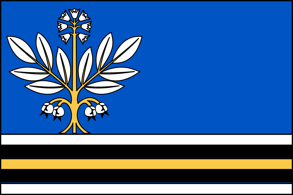 Fayl:Flag of Klokočná.svg