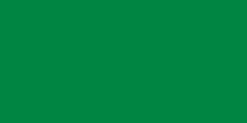 Fayl:Flag of Libya (1977–2011).svg