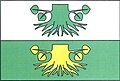 Flag of Pařezov