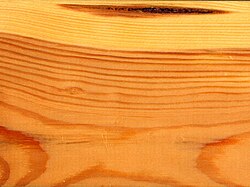 Yogʻoch