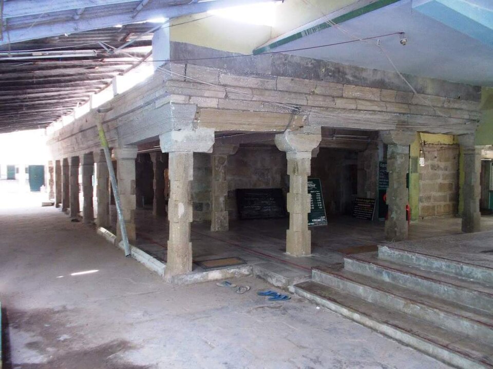 Fayl:Side view of ojm.jpg