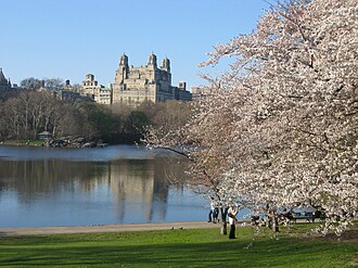The Lake in Central Part with a high-rise building in the background
