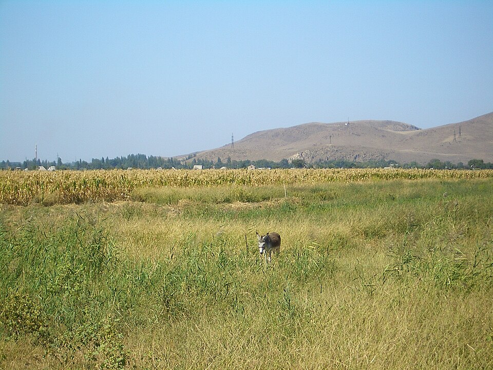 Fayl:E7992-Milyanfan-fields.jpg