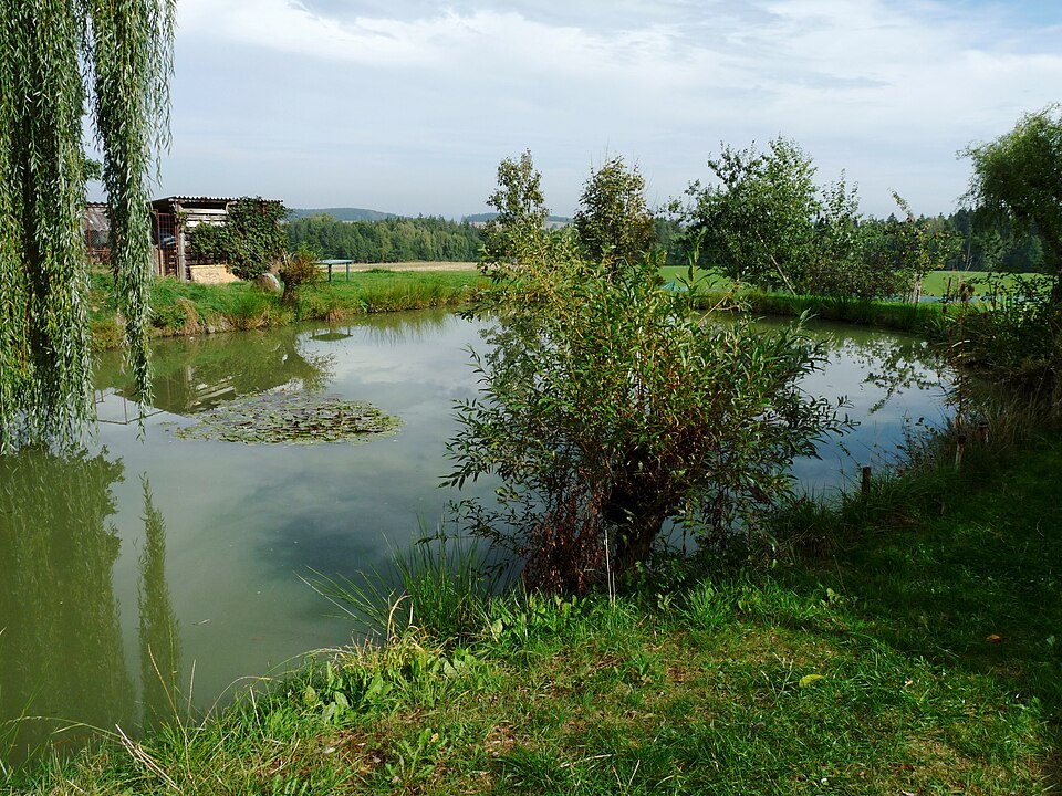 Fayl:Střítež (ČK), rybník (02).jpg