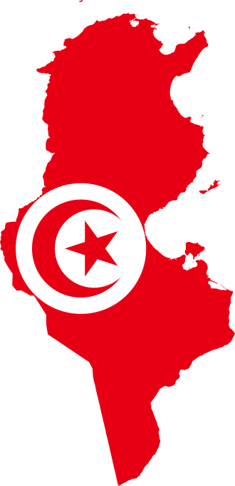 Fayl:Flag map of Tunisia.svg
