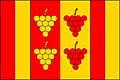 Flag of Moravská Nová Ves