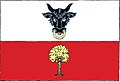 Flag of Ujčov