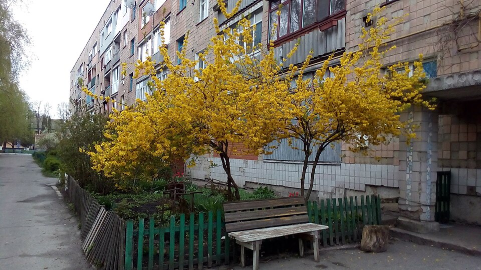 Fayl:Вулиця смт Дослідницьке.jpg