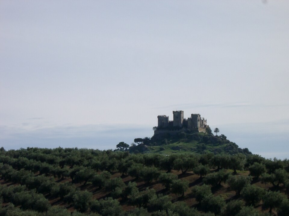 Fayl:Castillo de Almodóvar del Rio.jpg