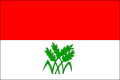 {{{rasmiy_nomi}}}ning bayrogʻi