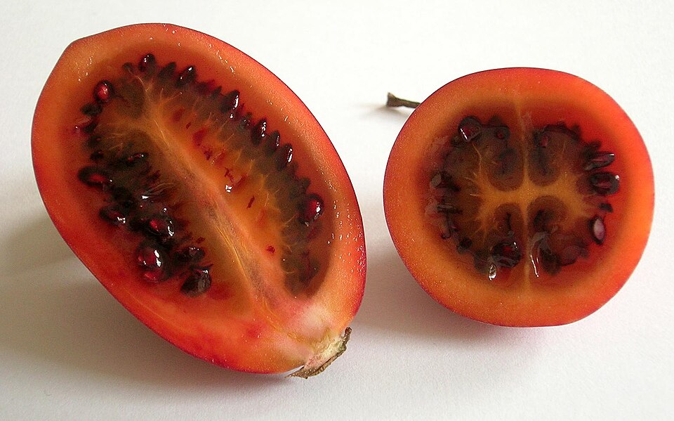 Fayl:Tamarillos im Anschnitt(janek2005).jpg