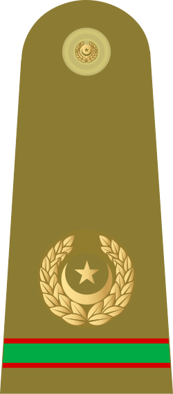 Fayl:10.Pakistan Army-SMCWO.svg