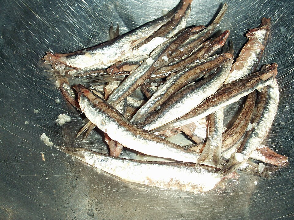 Fayl:Acciughe sotto sale.acciughe salate.jpg