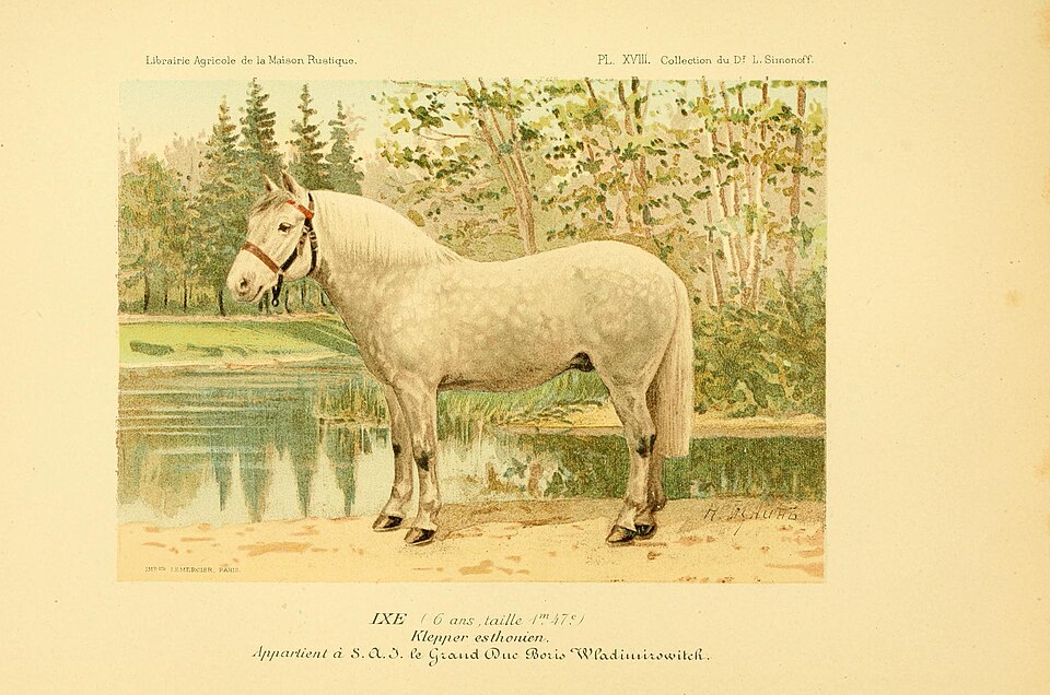 Fayl:Les races chevalines BHL22833187.jpg