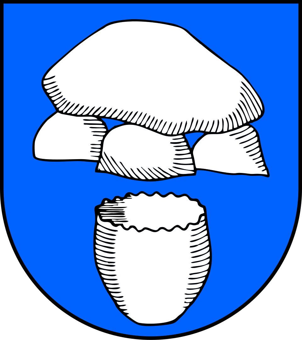 Fayl:DEU Winkelsett COA.svg