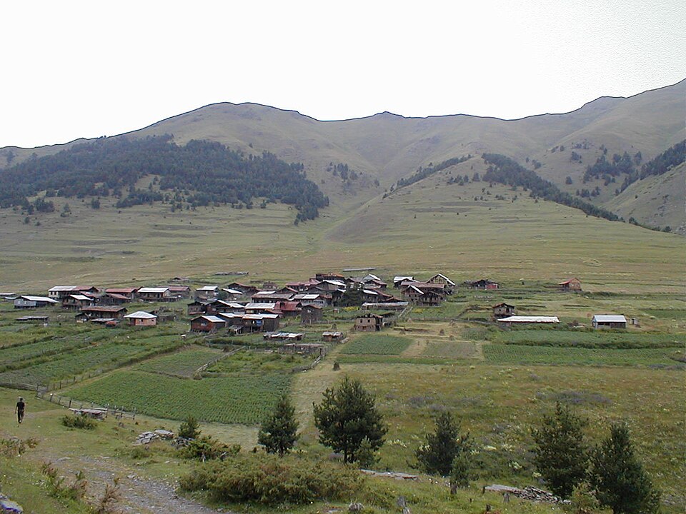 Fayl:Diklo 2684 m1010053.jpg
