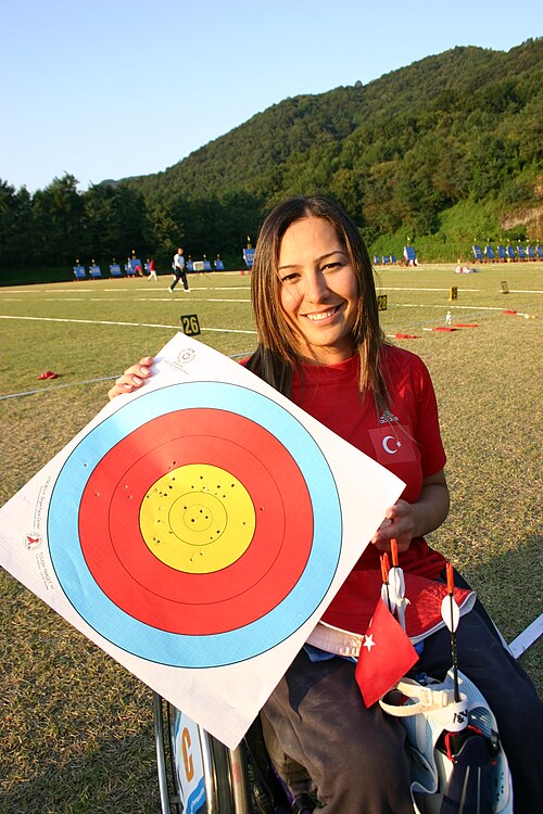Fayl:Gizem (target).jpg