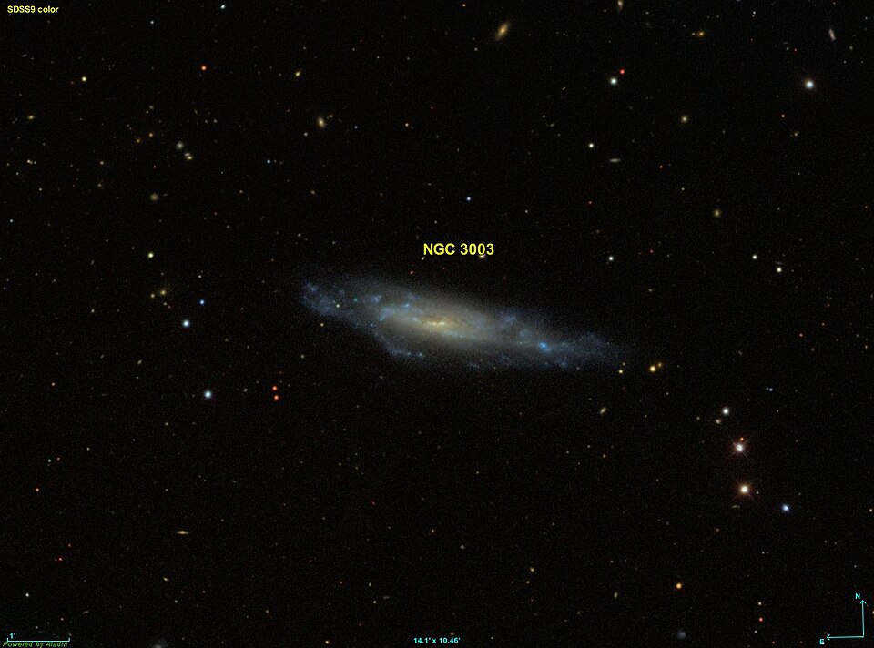 Fayl:NGC 3003 SDSS.jpg
