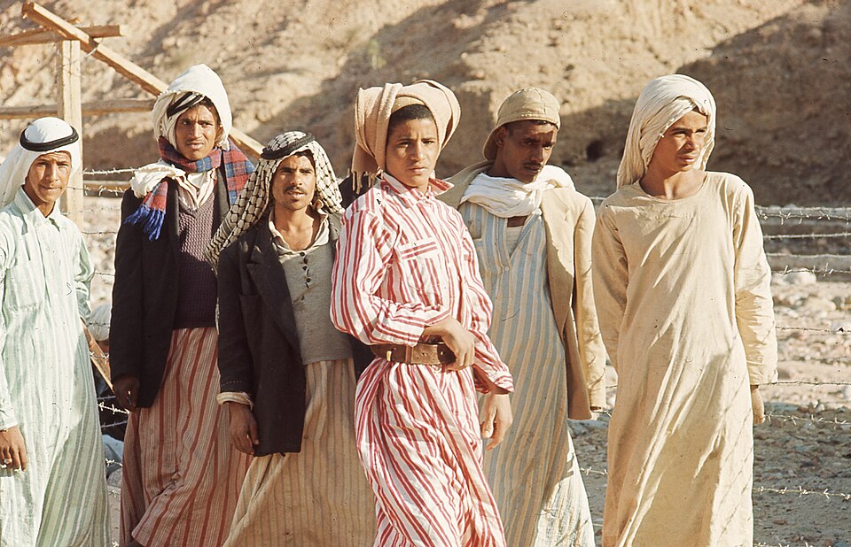 Fayl:Sinai (997008872701105171.jpg