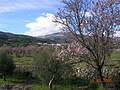 14:22, 2007-yil 5-yanvar dagi versiya uchun tasvir