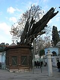 18:30, 2008-yil 8-yanvar dagi versiya uchun tasvir