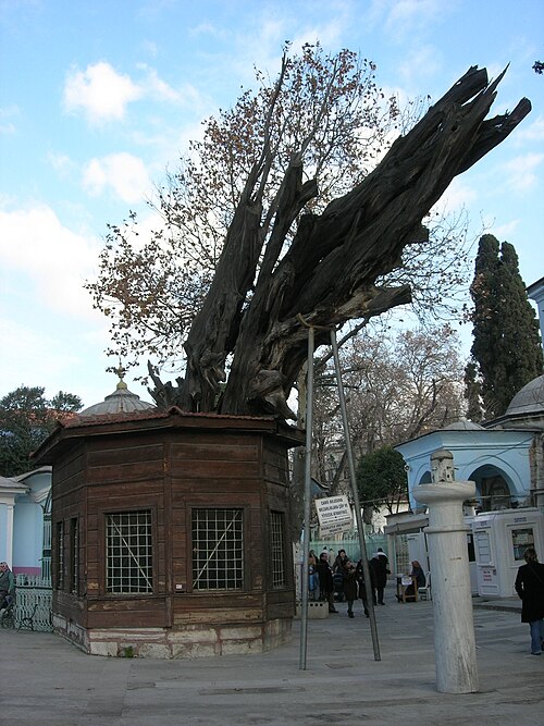 Fayl:KocaMustafaPashaMosque20072812 02.jpg