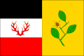 {{{rasmiy_nomi}}}ning bayrogʻi