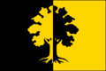 Flag of Dubí