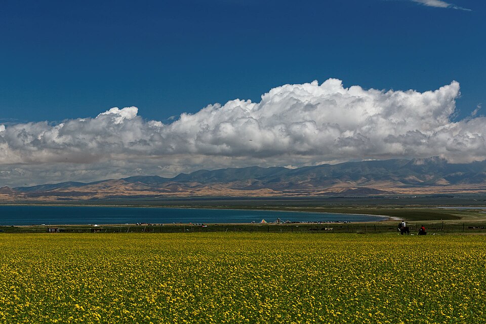 Fayl:Qinghai Lake 2016.jpg