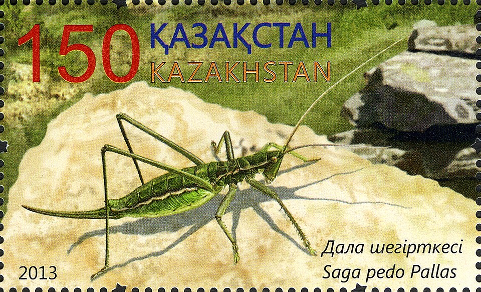 Fayl:Stamps of Kazakhstan, 2013-59.jpg