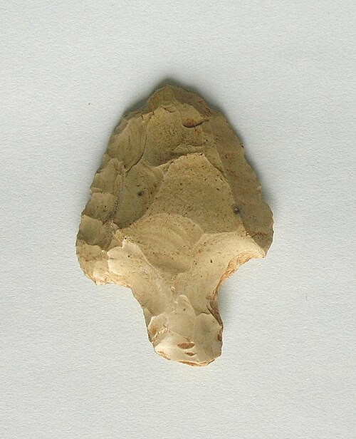 Fayl:Atérien (Djelfa).JPG