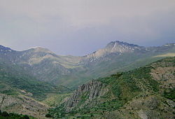 Gyamigaya