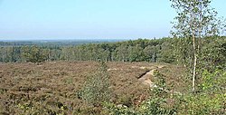 Skyline of Nijverdal