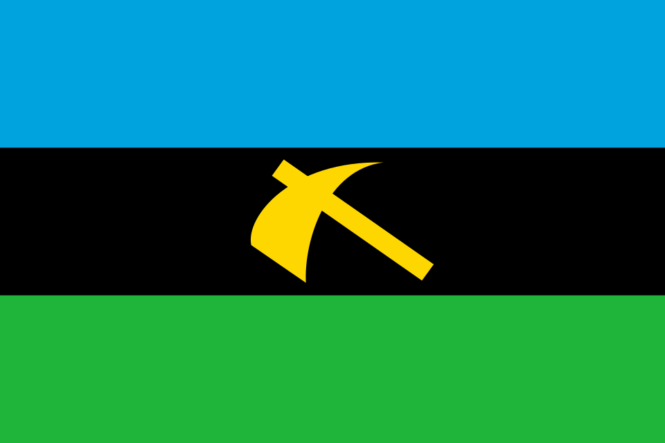 Fayl:Flag of Afro-Shirazi party.svg