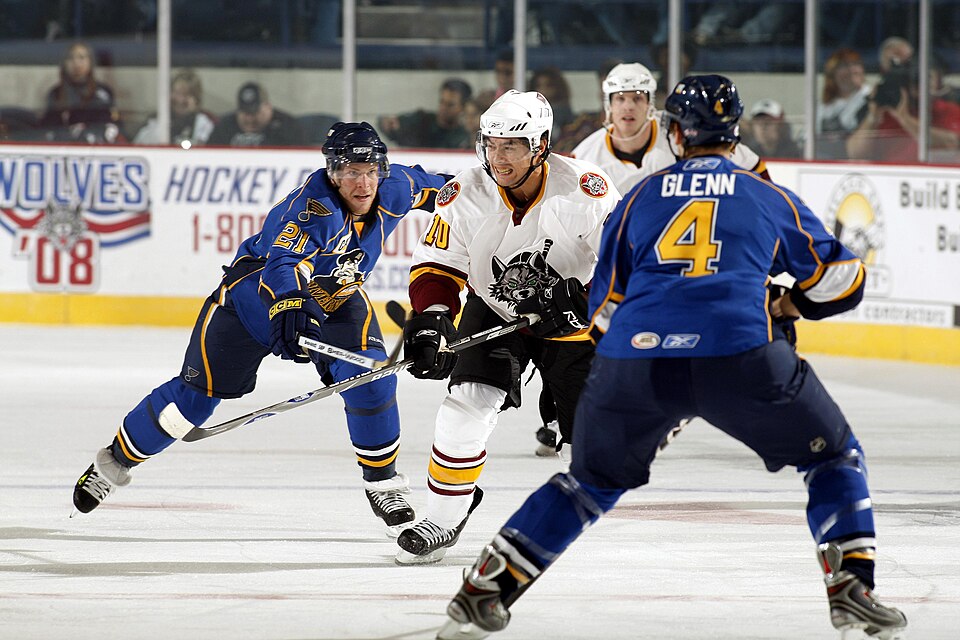 Fayl:Yan Stastny Jason Krog.jpg