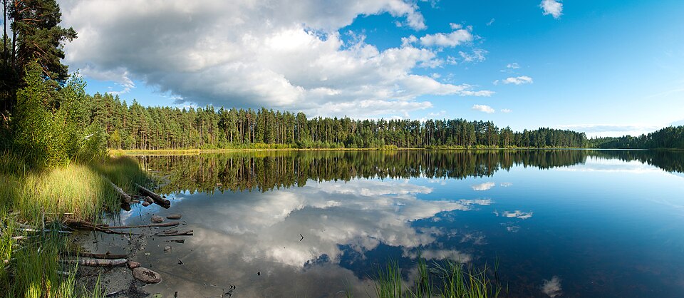 Fayl:Ahitsõ järv Rõuge vallas.jpg