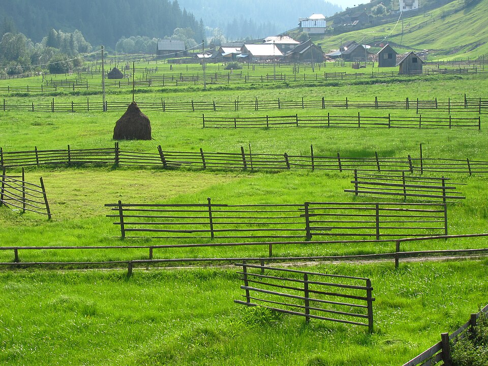 Fayl:RO SV Panaci meadow.jpg