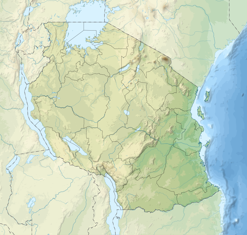 Fayl:Tanzania relief location map.svg